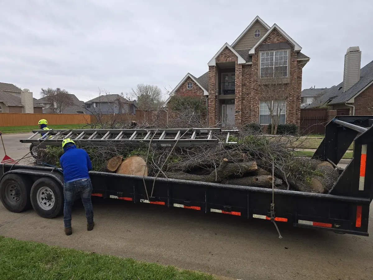 Expert Lot Clearing with proper safety equipment in Saint Clair
